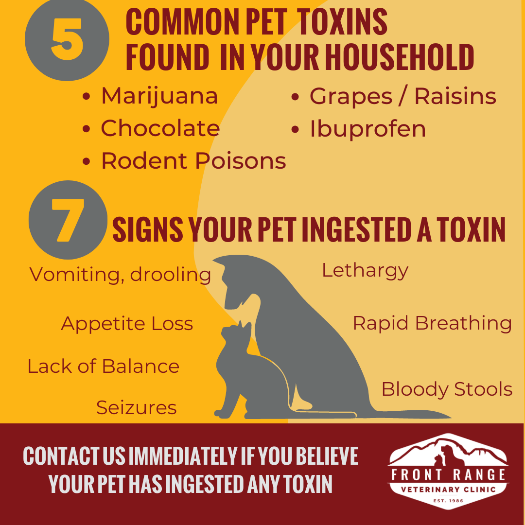 Poison Prevention Awareness Month - Front Range Vet Clinic